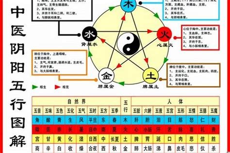 2020鼠年五行|2020年属鼠是什么命 2020年出生老鼠的五行是什么